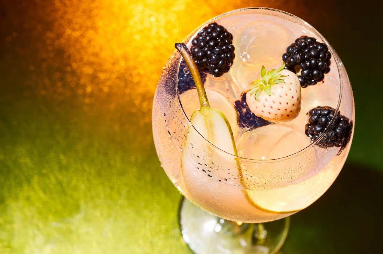 Gin Tonic & Fruit